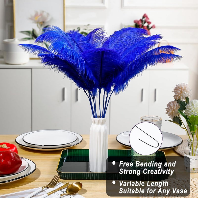 Holmgren Royal Blue Ostrich Feather - 20pcs Making Kit 22 Inch Large Ostrich Feathers for Vase, Floral Arrangement, Wedding Party Centerpieces Home Decorations (Royal Blue) - Image 2